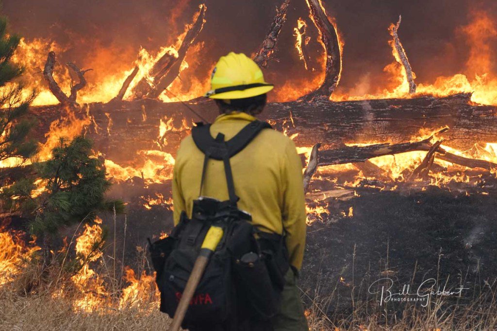 wildfiretoday's tweet image. California passes bills boosting mental health support for firefighters. The legislation addresses peer support and treatment for post-traumatic stress.
#PTSD #wildfires wildfiretoday.com/2019/10/02/cal…