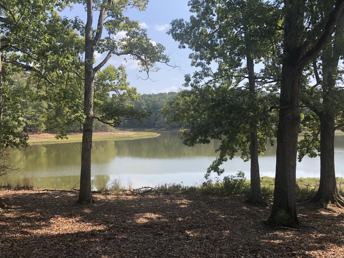 Sara C. Cramer tweet media