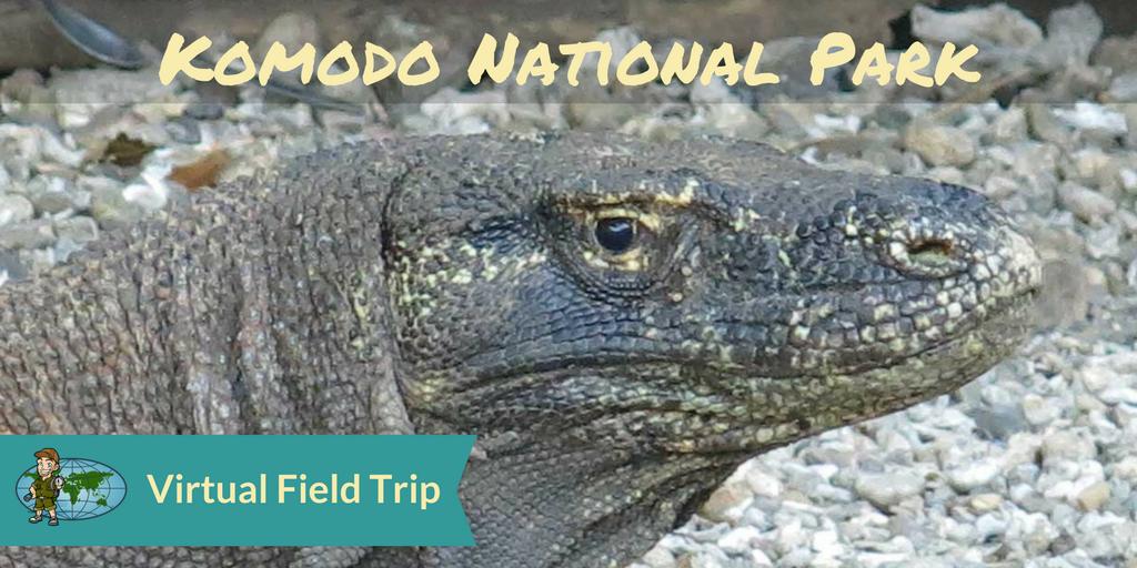 FREE Komodo Island virtual field trip next week! October 9th at 11:30 AM EST buff.ly/2oC1Tsy #GEOshow #4thchat #flatclass #edchat