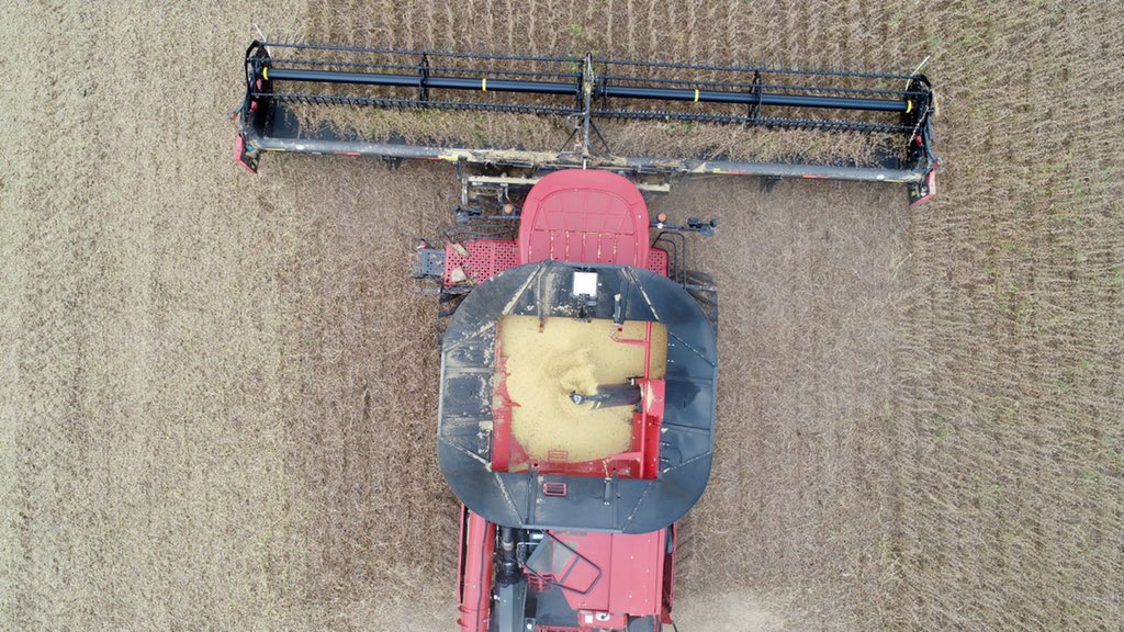 LiveWorkGrowCIA's tweet photo. Wow, what an awesome day to cut beans! Fully automated Case IH 8250’s. 👍🏼👍🏼🏅 @MPSchmidtAG @WheetMichael @acoers @crich961 @Case_IH @ILSoybean #harvest19 #caseih https://t.co/IiTxvx3D5J