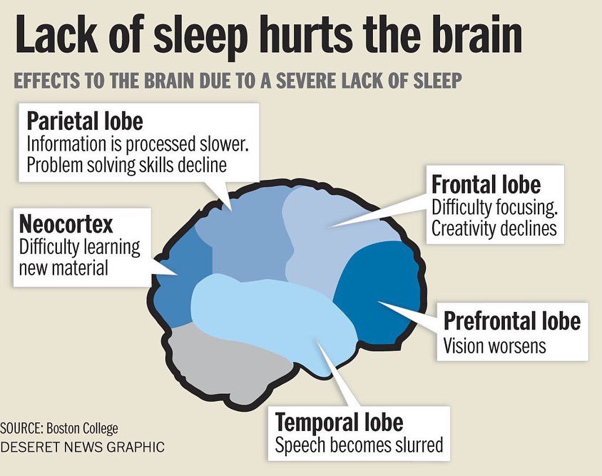 Sleeping brains