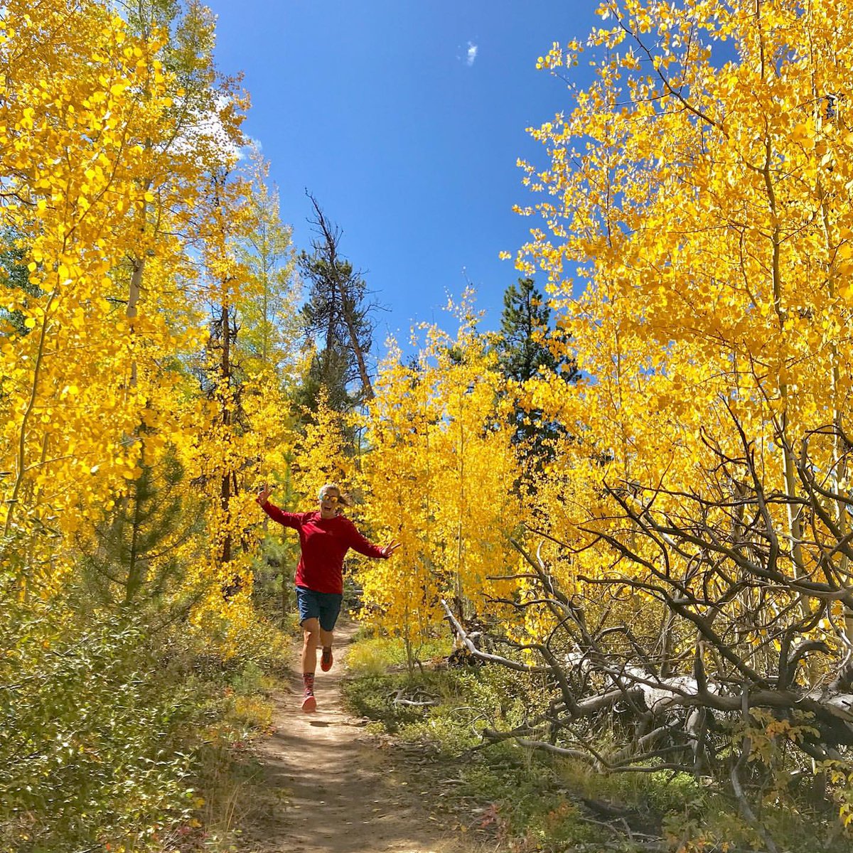 Our favorite color is October. 
📷: <a href="/courtdauwalter/">Courtney Dauwalter</a> 

#FallVibes #StepintoSuperfeet #TrailRunning