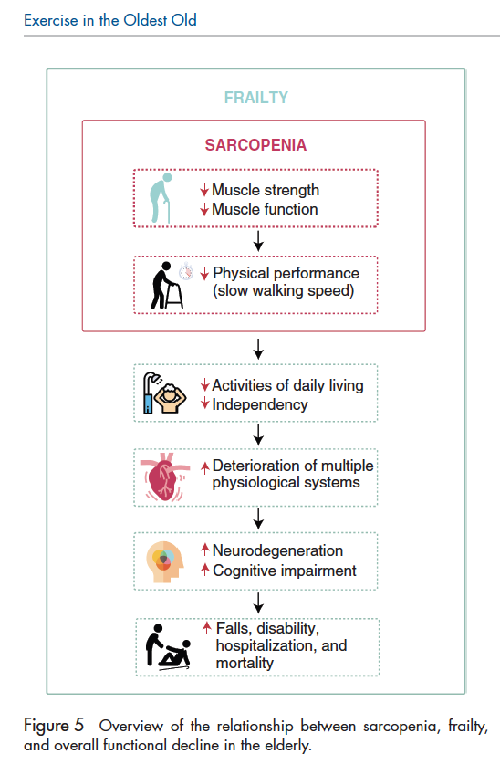 mikelizquierdo_'s tweet photo. Hot off the press. 🏋️♀️🏋️♂️🚴♀️🚴♂️. Multicomponent programs should be included in the oldest old, particularly during disuse situations such as hospitalization. © 2019 American Physiological Society. (Valenzuela et al. Compr Physiol, 2019. https://t.co/HDB0TcNTvg https://t.co/CUKxEmaBKB