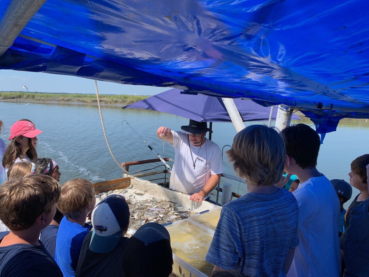 Brian Balocki tweet media