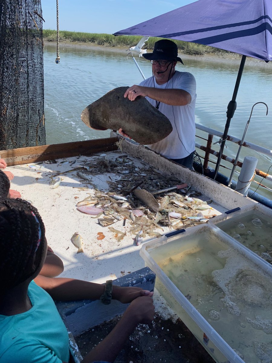 Sting Ray says hello to Trinity! #trinityoe