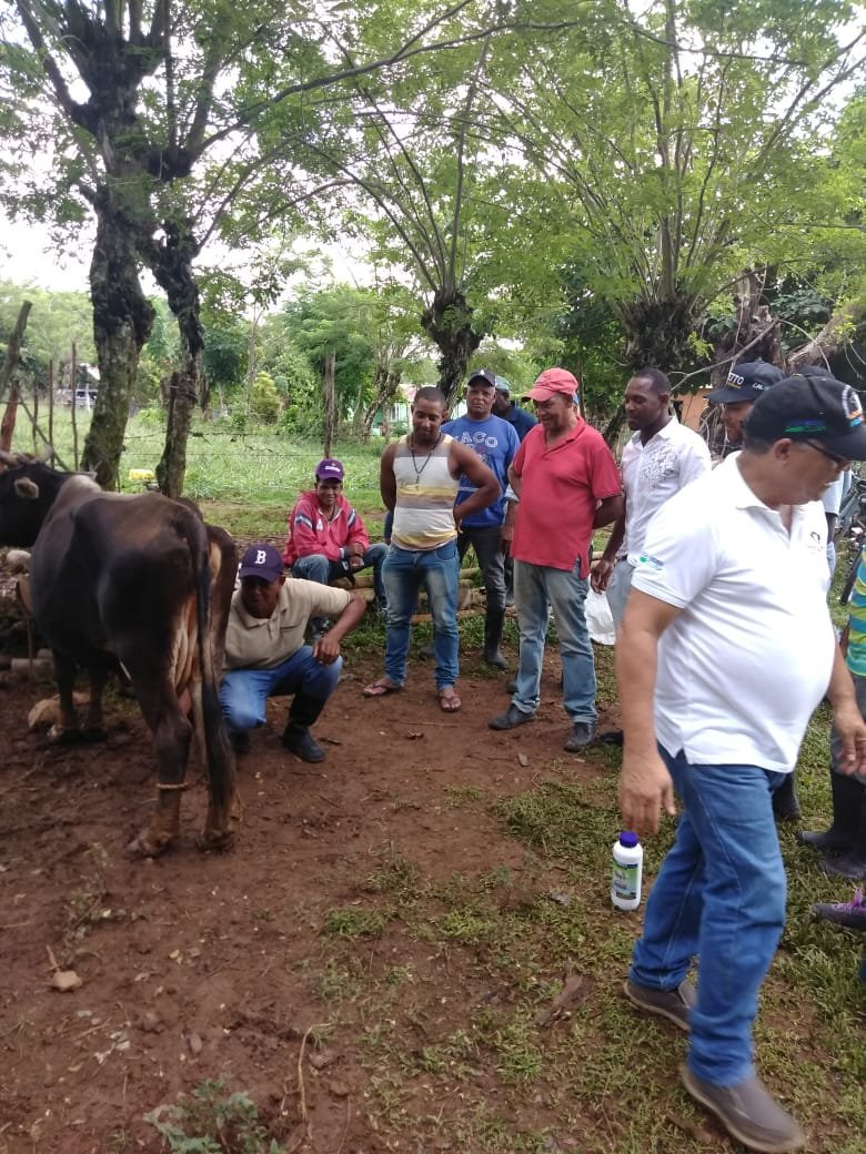 PROGANA_RD's tweet photo. Escuela de Campo Ganadera #Progana de la Asociación de Campesinos Cruce de Mela (Monte Plata), con el tema: Sellado para la calidad de leche y ordeño higiénico. https://t.co/13psiaV3Zb