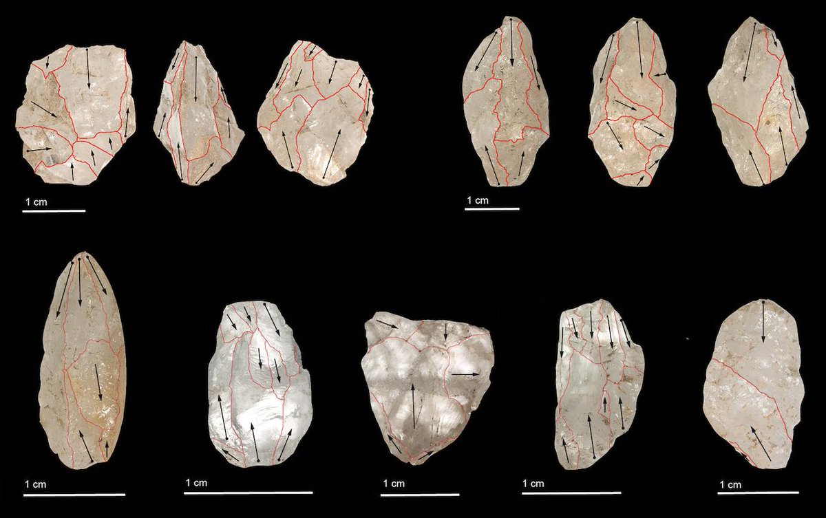 MDPetraglia's tweet photo. Oldest Eurasian #microlithic is in #SriLanka! Get this: as old as the Upper #Palaeolithic of Europe. #Homosapiens #Lithics @plosone #openaccess https://t.co/kmiWpDVdrC https://t.co/TR4G8OROow