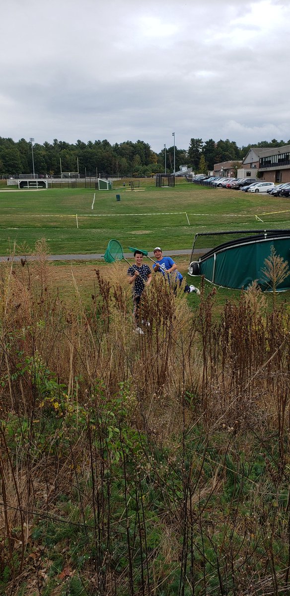 lpeerscience's tweet photo. Round two of bug catching...looks like we dodged the rain again!@mmarotta #nashobascience https://t.co/F7KtqNLXn6