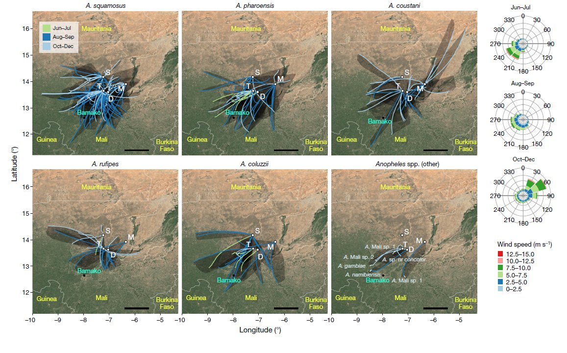 Very happy to be a part of this work out today in @nature. nature.com/articles/s4158…. Mosquitoes, long thought to be local creatures moving 1-2km in their lives appear to be able to move up to 295km in a night on high altitude wind currents!