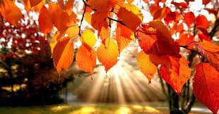 Fall break hours:

Saturday, October 5th: Closed
Sunday, October 6th: Closed
Monday, October 7th: 8 a.m. - 4 p.m.
Tuesday, October 8th: 8 a.m. - 4 p.m.