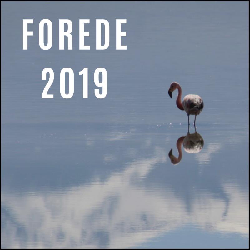 Forede2024's tweet photo. Pronto!!! @Forede2019 https://t.co/Vo8GlrFm4J