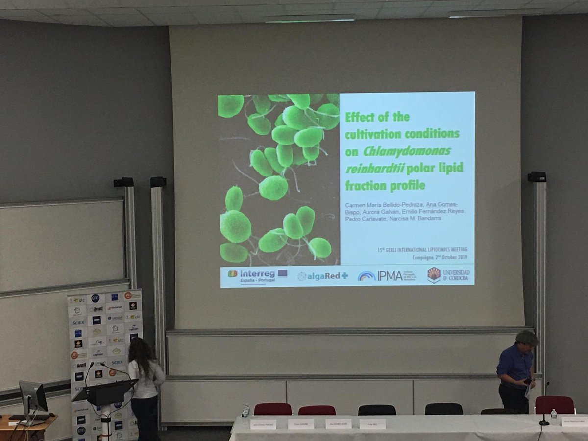 algaeFamLAB's tweet photo. Our lab member @CarmenBellido5 is at the  GERLI 15TH INTERNATIONAL #LIPIDOMICS MEETING presenting her talk about the effect of cultivation conditions on #Chlamydomonas polar #lipid fraction profile, a result of a collaborative work with Bandarra lab at @ipma_pt @ALGARED_PROJECT https://t.co/5RM5xHcSaW