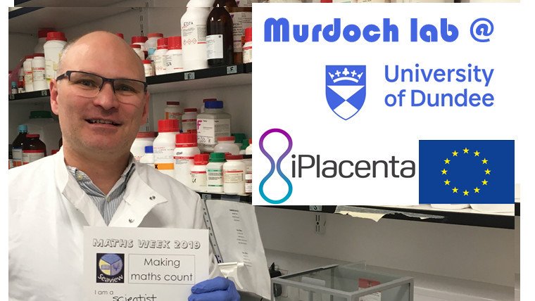 Dr Colin Murdoch (@colinemurdoch) on Twitter photo Making Maths Count with #mathsweekscotland. I am a scientist <a href="/dundeeuni/">University of Dundee</a> and I use maths when measuring drugs for my <a href="/EU_H2020/">Horizon 2020</a> <a href="/iplacenta/">iplacenta</a> research experiments in the Murdoch lab <a href="/MrsRajcoomar/">Mrs Rajcoomar</a> <a href="/seaview_ps/">Seaview PS</a> Making Maths Count with #mathsweekscotland. I am a scientist <a href="/dundeeuni/">University of Dundee</a> and I use maths when measuring drugs for my <a href="/EU_H2020/">Horizon 2020</a> <a href="/iplacenta/">iplacenta</a> research experiments in the Murdoch lab <a href="/MrsRajcoomar/">Mrs Rajcoomar</a> <a href="/seaview_ps/">Seaview PS</a>