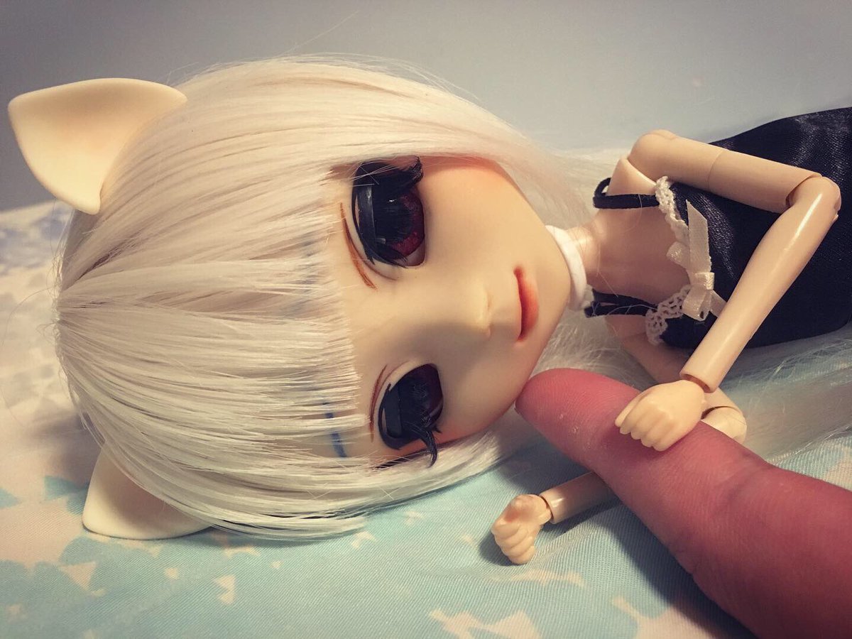 762_fmj's tweet photo. 玩貓 #pullip #pulliphk #doll #cat https://t.co/H2yzEA5Db3
