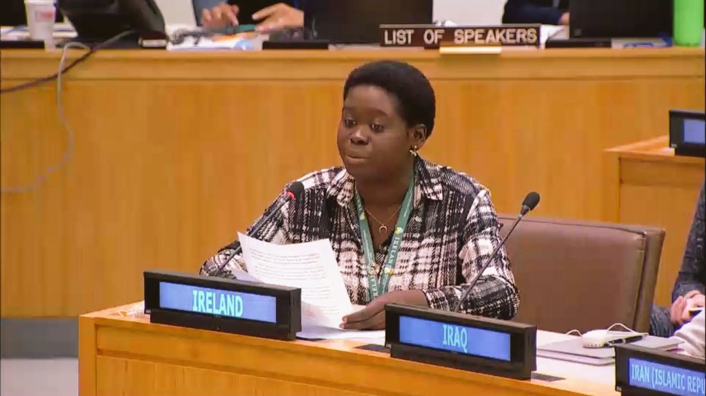 It was an honour to speak at the UN #Thirdcommittee on social development today. @UNYouthIRL
@nycinews @irishmissionun