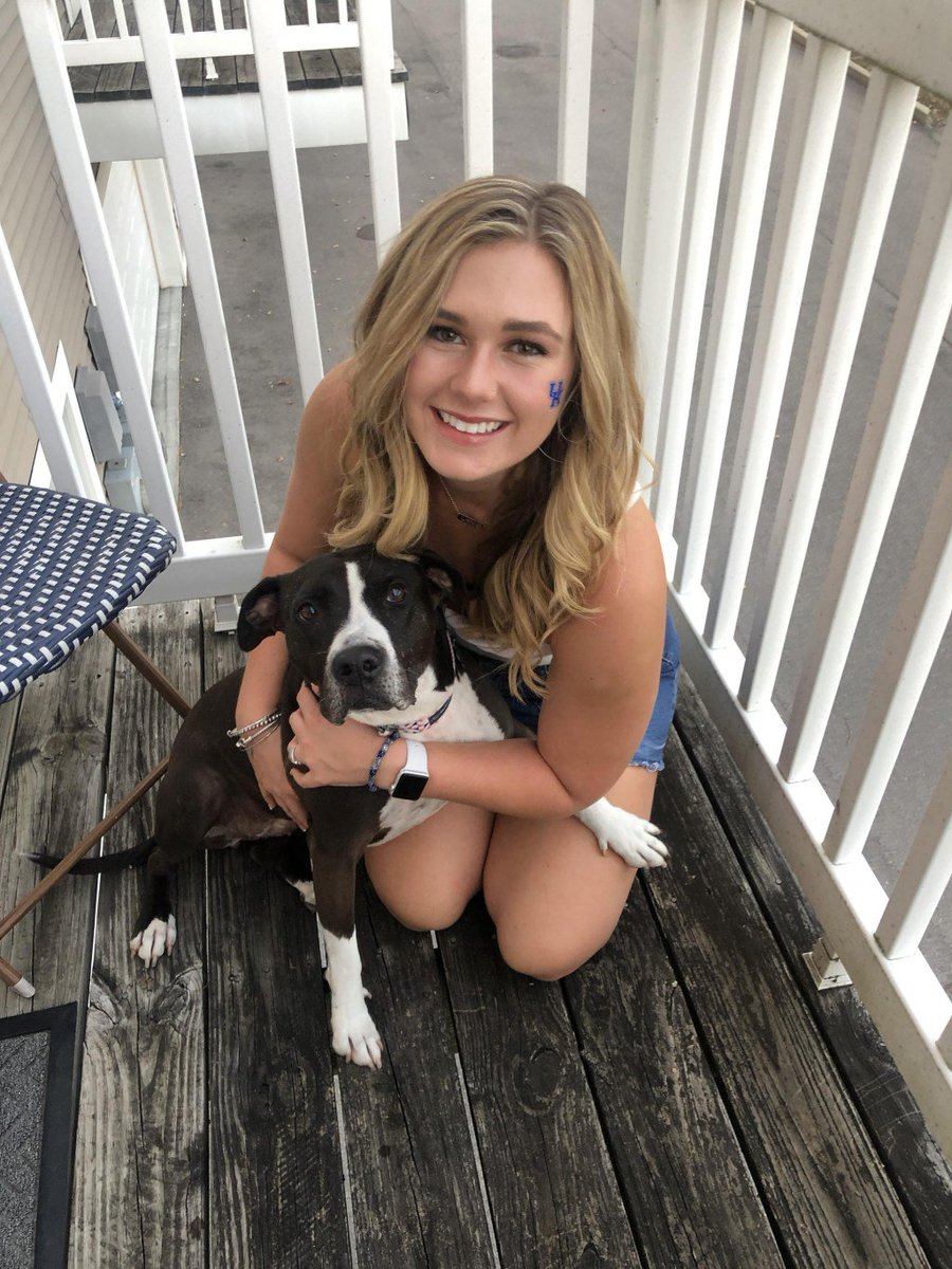 LexingtonHumane's tweet photo. Happy Tails: Layla https://t.co/IAiFFaYXcB https://t.co/xKYoA3V7Ri