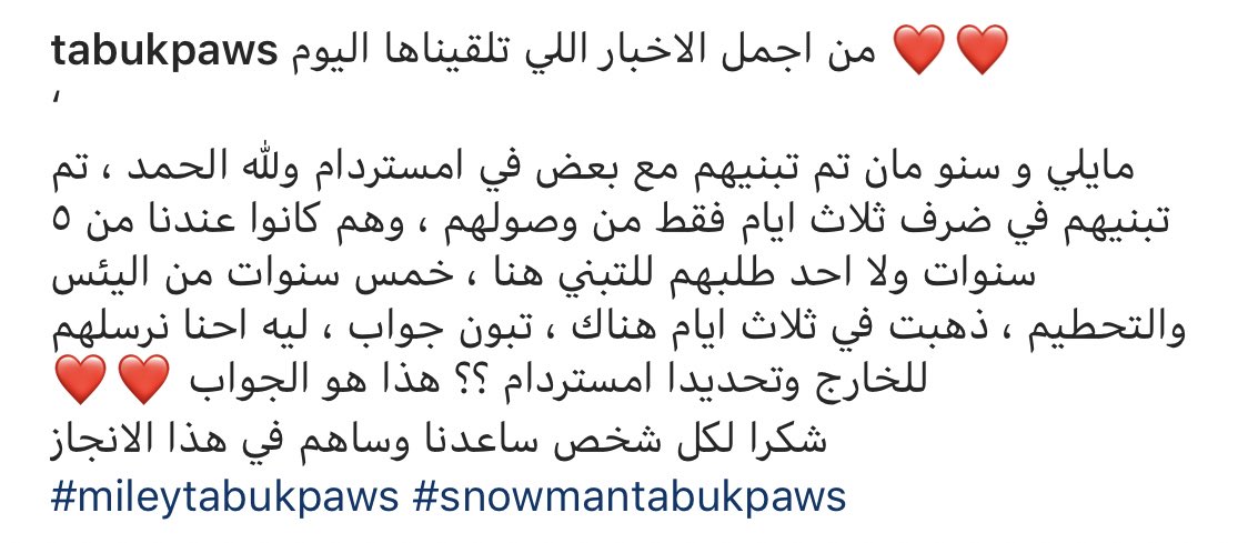 TabukPaws - جمعية عطف tweet media