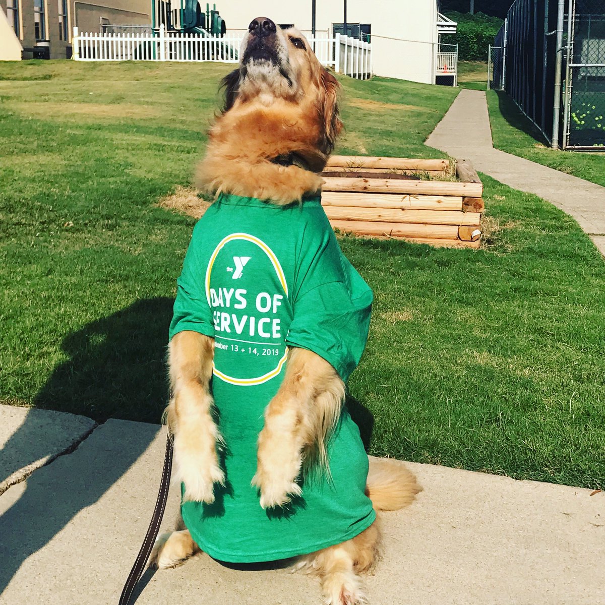 CookerlyPR's tweet image. A little bit of kindness goes a long way! 🤝🌟 From making blankets to packing warm meals, over 2,000 volunteers lent a helping hand during @atlantaymca's #DaysofService event. #YMCAofMetroAtlanta #charity
