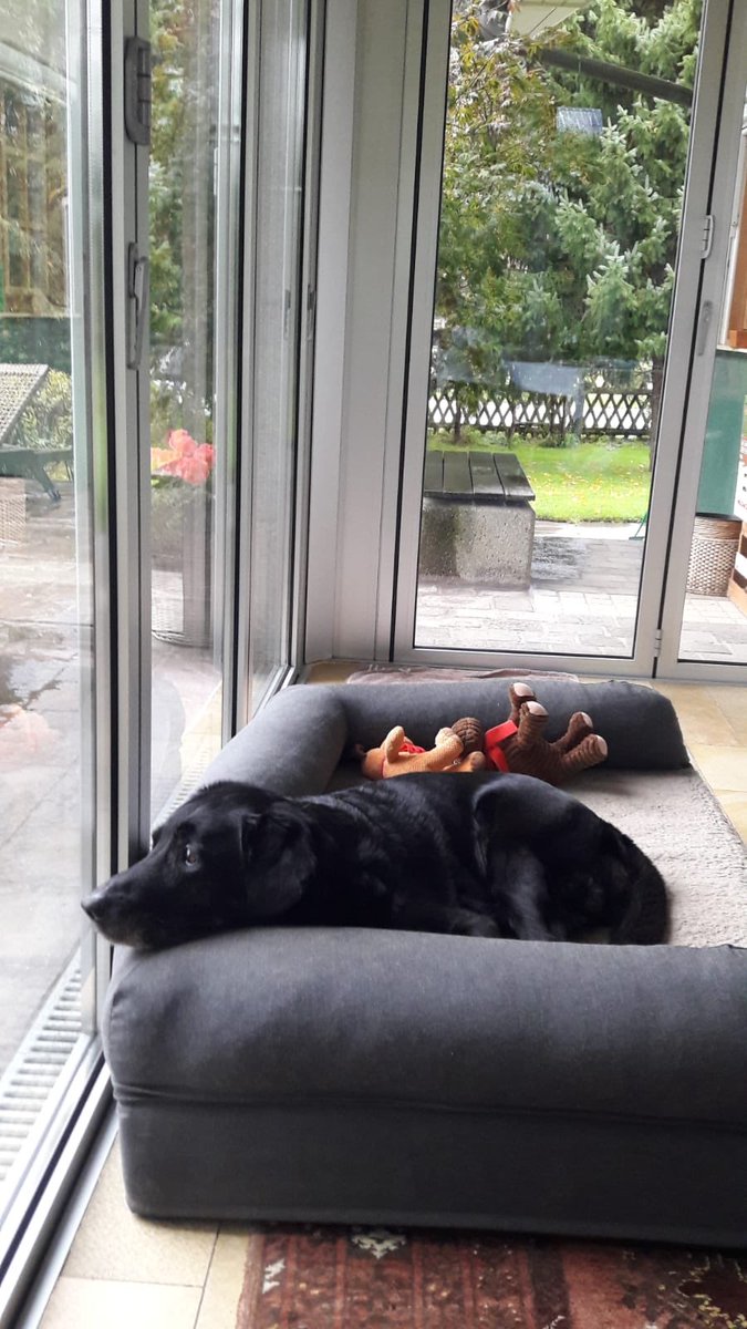 eva_riegler's tweet photo. @Berti_and_Ernie https://t.co/Gx1ZlHMLuy