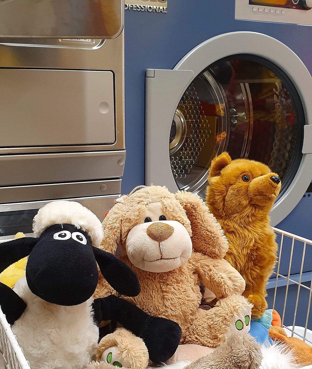 Tänään on meidän kylpypäivä! Osa meidän pehmolelukavereista on jo käynyt kylvyssä, mutta moni vielä odottaa vuoroaan. Onneksi <a href="/SOLPesula/">SOL Pesulapalvelut</a> tarjoaa vaahdot ja linkoukset, jotta me olemme sitten edustuskunnossa kun tapaamme uudet omistajamme!
#sankarinalle #pelastuslaitos #Helsinki