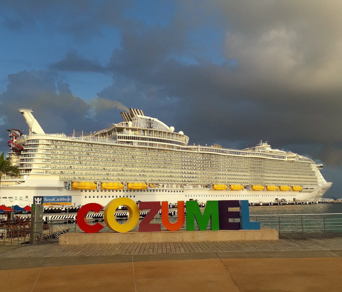 シンフォニーオブザシーズ