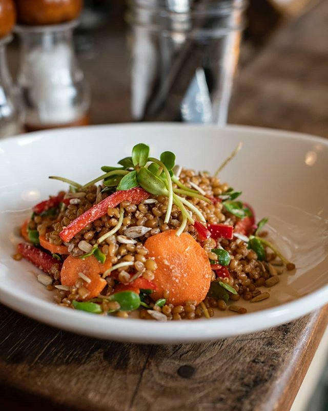 Join us for a proper lunch today at Winslow's Home! Try our Grains Salad, with local wheat berries, seasonal vegetables, sunflower dressing and Winslow's Farm sunflower shoots. #winslowshome #farmtotable #eats #stlfood