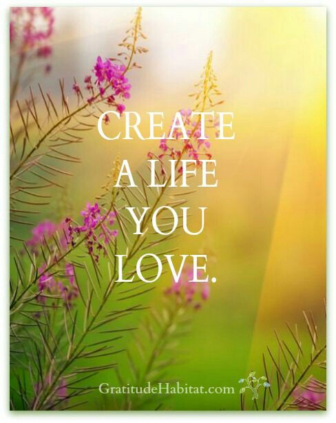 vilayhack's tweet image. 