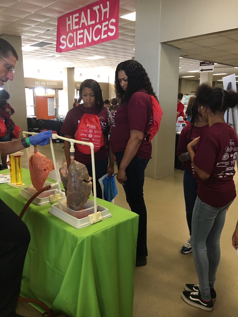 Kate Phillips tweet media