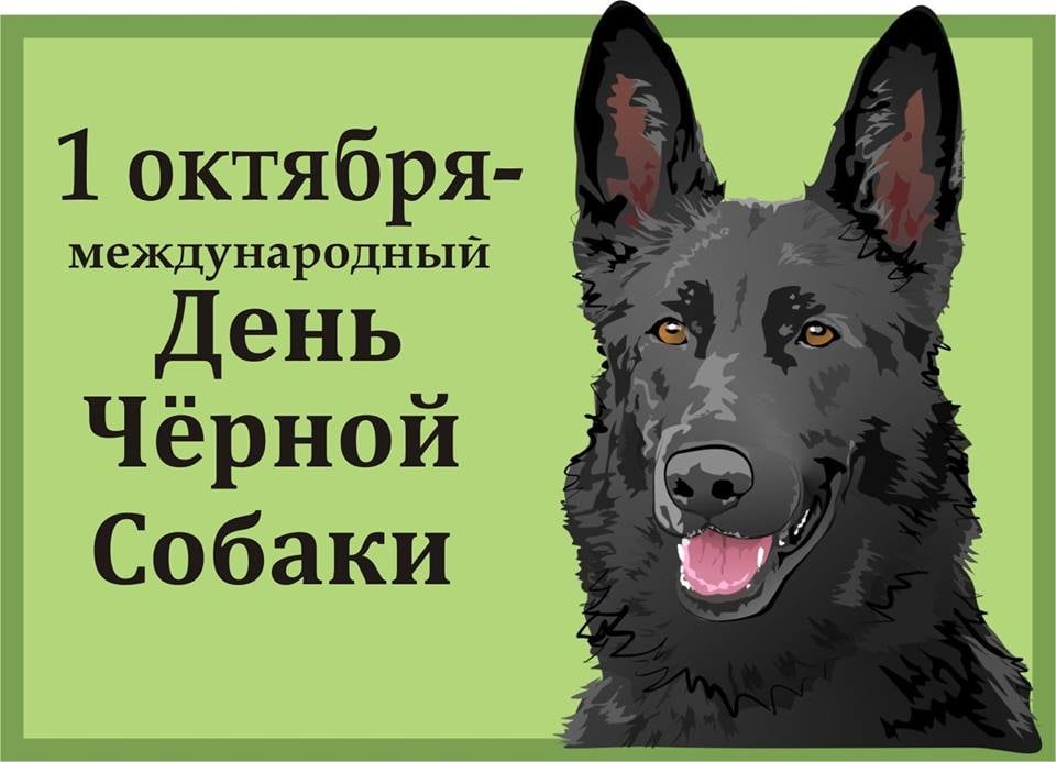 https://pbs.twimg.com/media/EF5SmGXXUAAK1YS.jpg:large