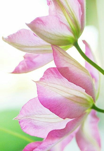 vilayhack's tweet image. 