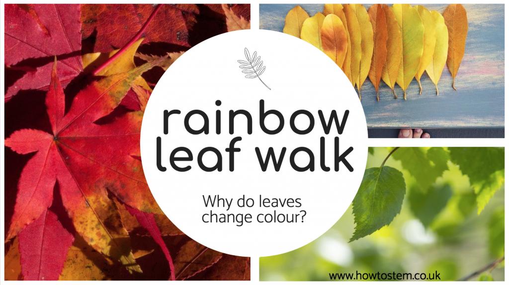 Autumn is here, making it the perfect time for #children to have a go at this 'Rainbow Leaf Walk' #stem challenge. Find out more about this activity, including why leaves are different colours here: howtostem.co.uk/blog/rainbow-l… #Autumn #kidsactivities #STEMed #forestschool