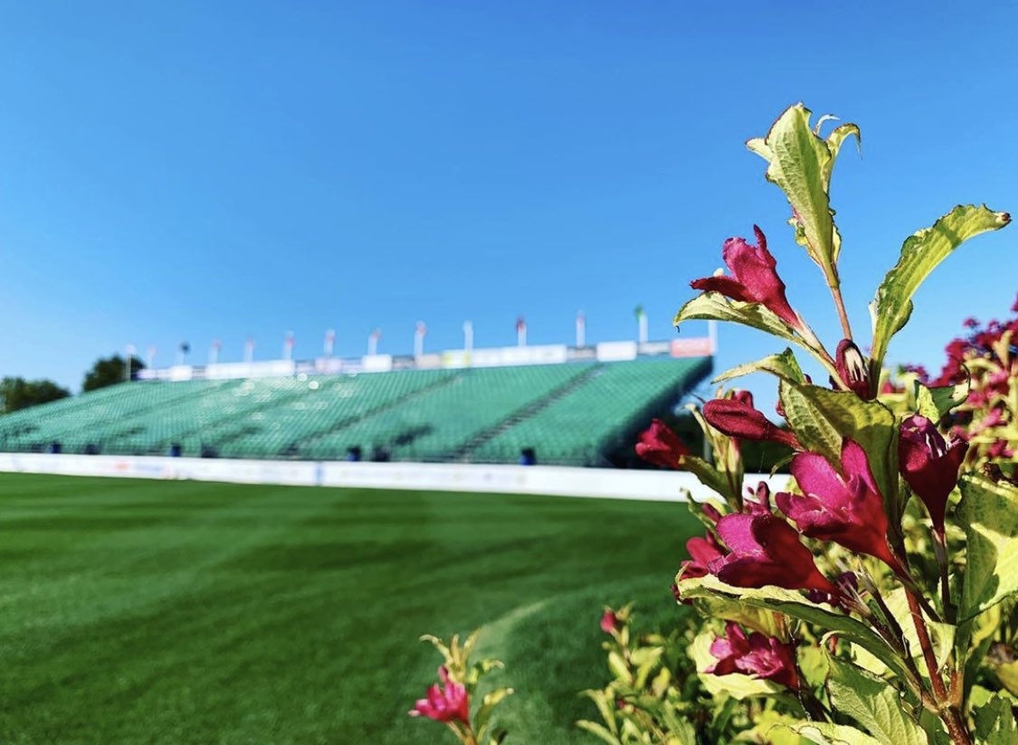 InProEvents's tweet image. Our @hamptonclassic seating for the #GrandPrix ring (general admission) were the best seats in the house! 
#October #longisland #hamptonclassic #horseshow #events #athletic #flora #turf