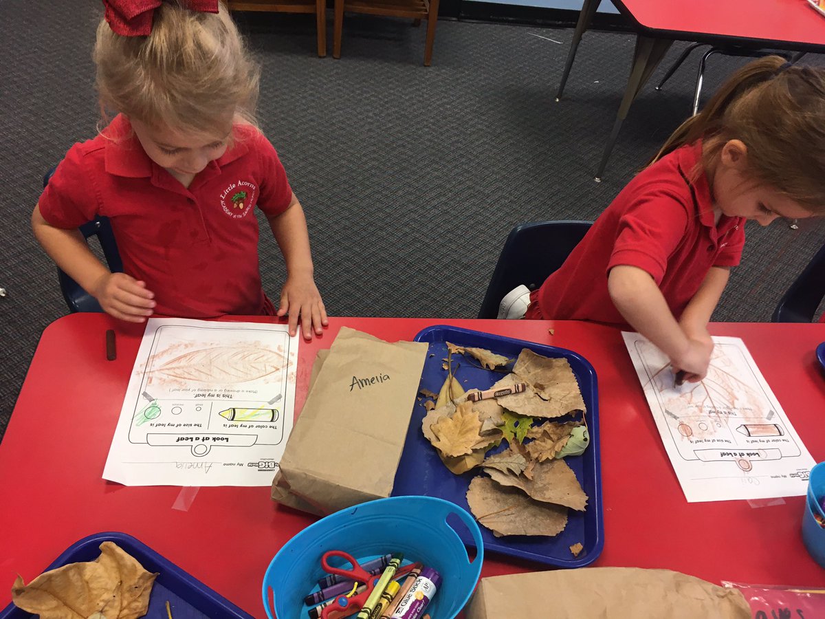 AcademyPreK's tweet photo. Today, the Little Acorns went on a leaf hunt around campus. We talked about how leaves change colors and fall off the trees during the season of Autumn. After we found our leaves, we observed them and made a leaf rubbing. 🍂 🍁 @ash1818 https://t.co/l9K5nnOxxs