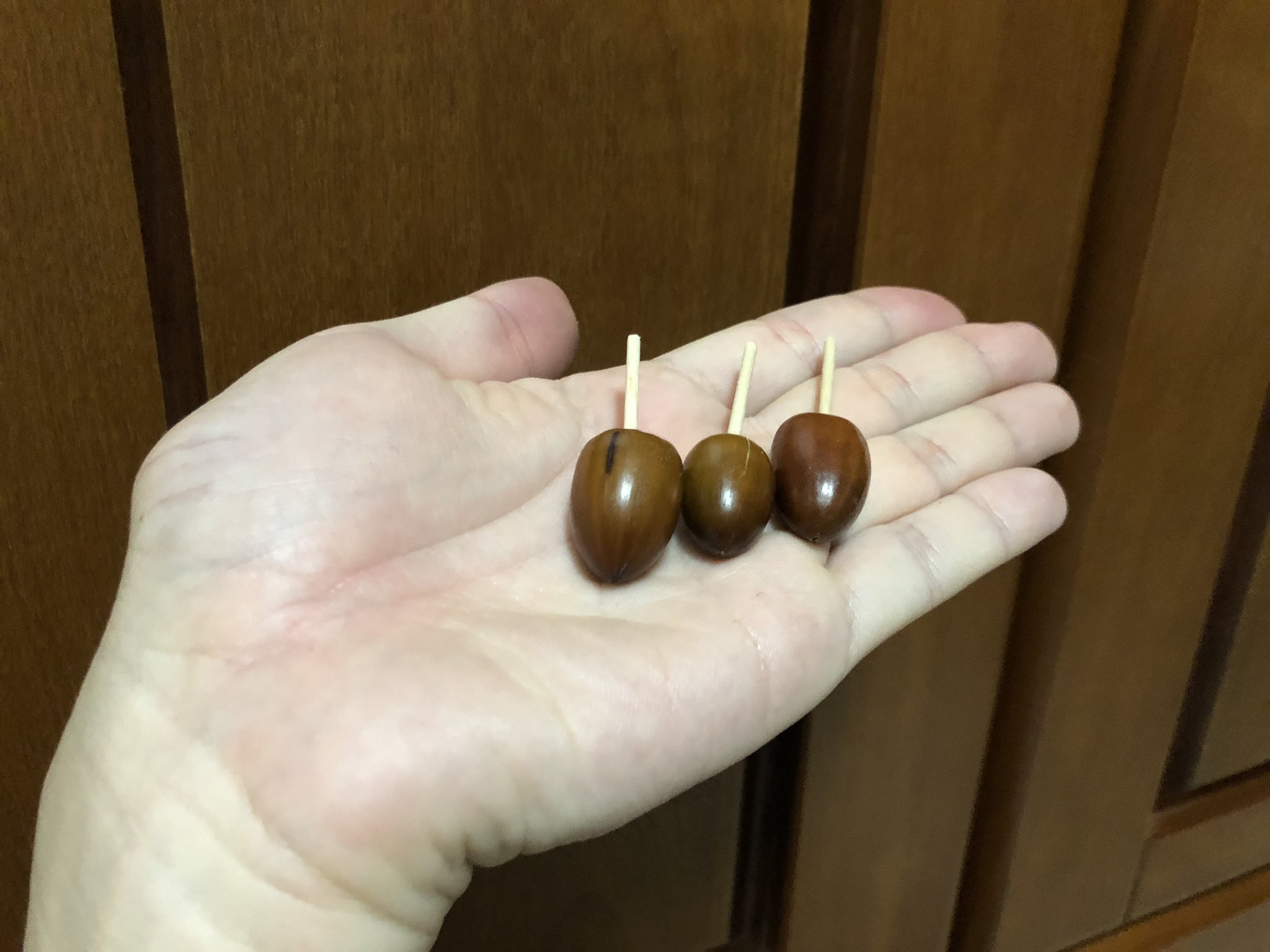 絵本マニアどきんちゃん 保育士 Iphone修理屋 どんぐりで人生初 やじろべえを作りました どんぐりごまも多分人生初 保育園で使お どんぐり 制作 工作 手作り おもちゃ やじろべえ どんぐりごま 自然 煮沸冷凍済 T Co Ftx7mawq4w