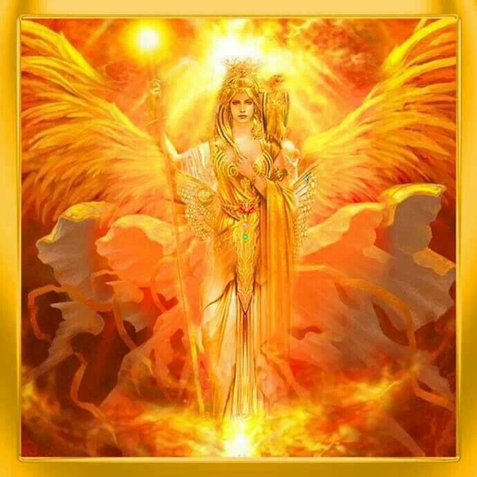 vilayhack's tweet image. 