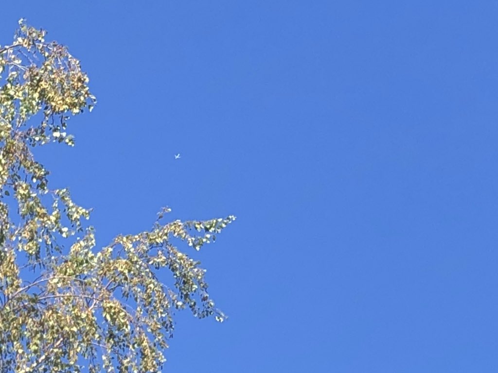 EightOneECHO's tweet photo. US NAVY E-6B Mercury 164407 as REND 59 passing over Menlo Park at FL260 heading NW over San Francisco now. #baymilcom #TACAMO #VQ4 ๐บ๐ธ https://t.co/HhPFFbA3k2