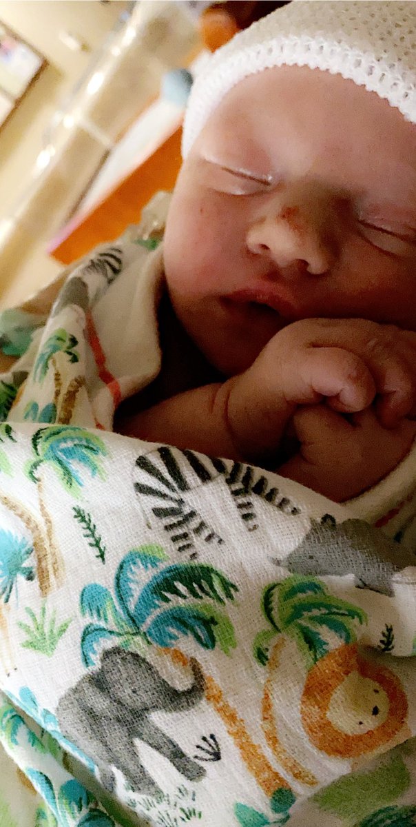 HarmanKaylee19's tweet image. Our perfect boy ❤️ @Harman060597