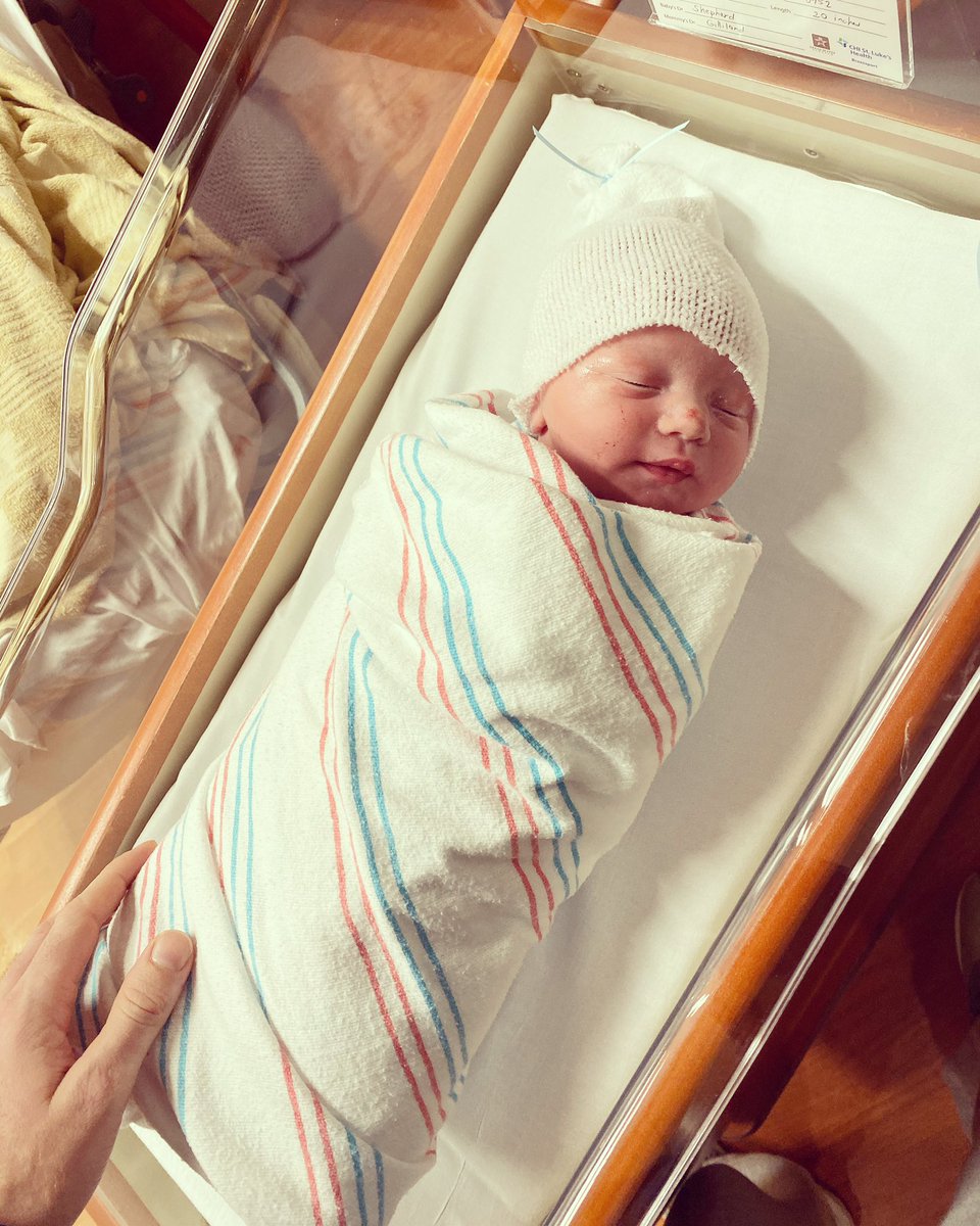 HarmanKaylee19's tweet image. Our perfect boy ❤️ @Harman060597