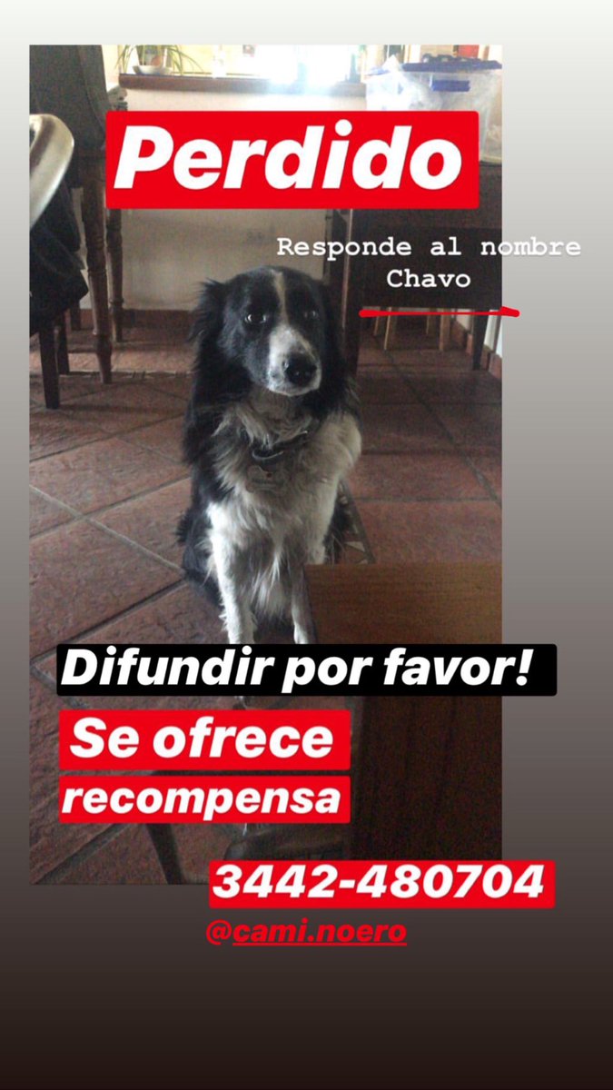 ValeCergneux's tweet photo. ⚠️ CONCEPCION DEL URUGUAY https://t.co/bo0szJtxZt