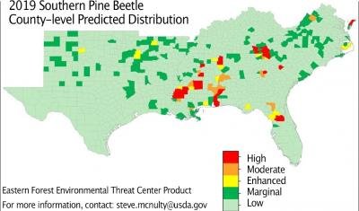 ProForestUF's tweet photo. Forecasting risk of #southernpinebeetle outbreaks under different climate change scenarios? Yes please! Way to go @USDAClimateHubs! https://t.co/ioRp9CVAtx https://t.co/btk4aEuwwT
