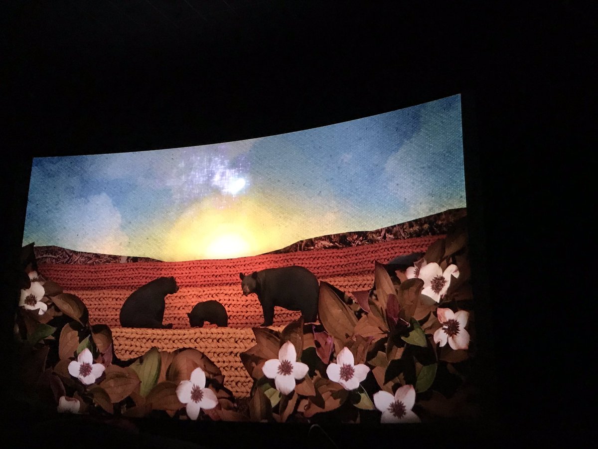 NFB_Magalie's tweet photo. Jordan’s Principle: finally more than 216 000 families have been helped. #forourchildren #hope Q&A w/ Alanis Obomsawin #thenfb #VIFF2019 https://t.co/slRvTmeCQ3