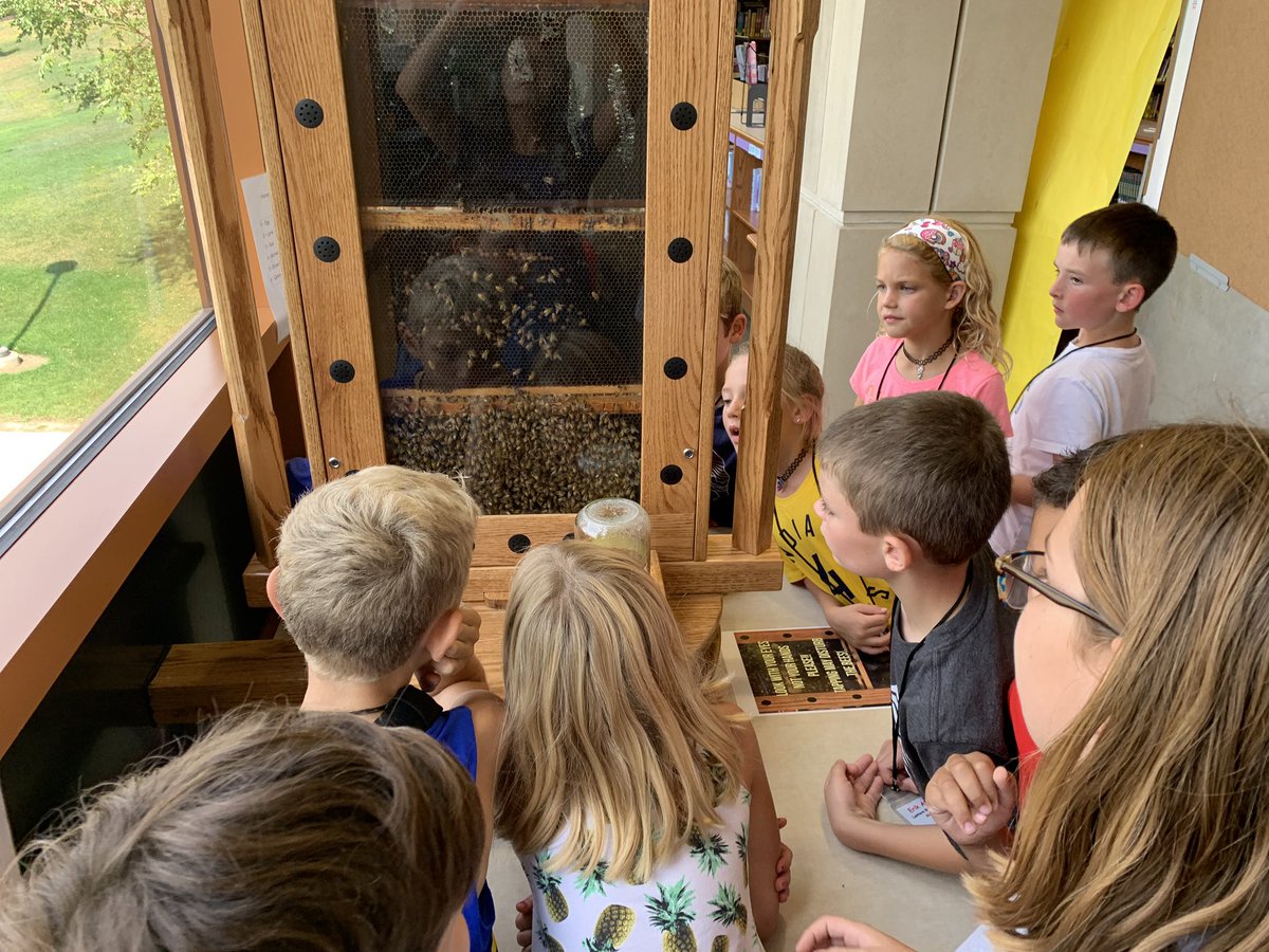 KLothamer's tweet photo. What a wonderful day at @RSIHawks with @LREhseIN 💗 🐝 It was amazing to see our 6th graders take compete ownership of their bee mission at RSI and inspire young students to start their own mission! #proudteacher @hsefoundation @robinsons_room @HSESchools https://t.co/i546gQPUdO