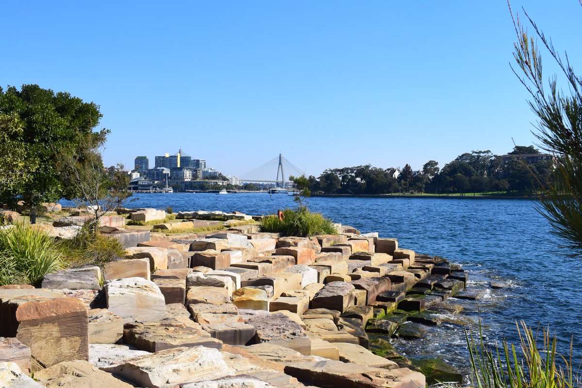 joshnoakes_mla's tweet photo. Pictures of the #barangarooreserve from my time studying in #sydney thrilled to see #pwpla won a 2019 #nationalasla award for this project. Exquisite example of #landscapearchitecture regeneration within Sydney. Definitely one of my favourites! #landscape #design https://t.co/hdif7E4Fu8