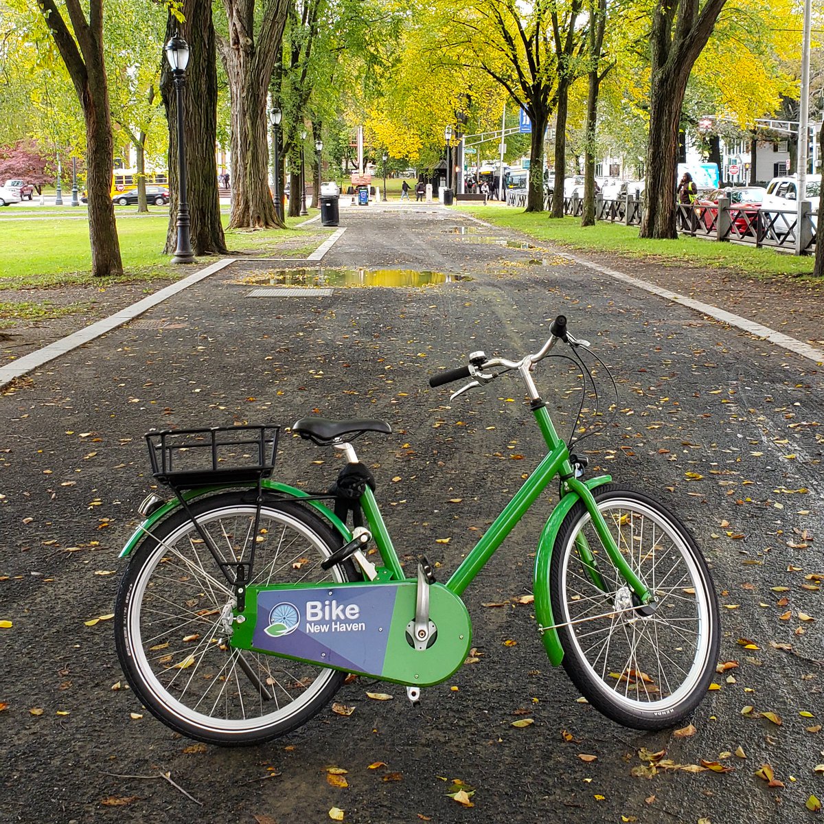 bikenewhaven's tweet photo. Make the most of the season and grab a bike to check out the foliage! #bikenewhaven #cycling #autumn https://t.co/ltsJMEiWPV