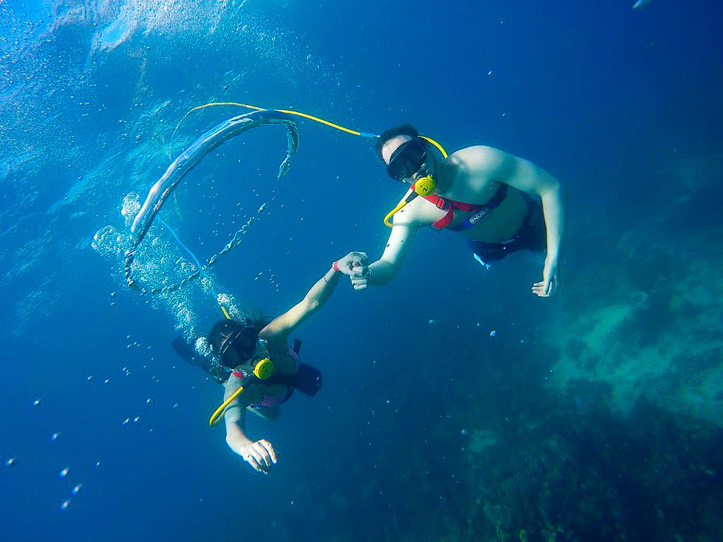 DRgotsoul's tweet photo. Discover Puerto Plata
SeaPro Divers
https://t.co/hZQFDMjtlh

#SeaProDivers  #Snorkeling 🌊🐟🇩🇴
#Scubadiving  #AquaAdventures   
#ThingsToDoInPuertoPlata  #DominicanSoul https://t.co/Qp0slqnUNc