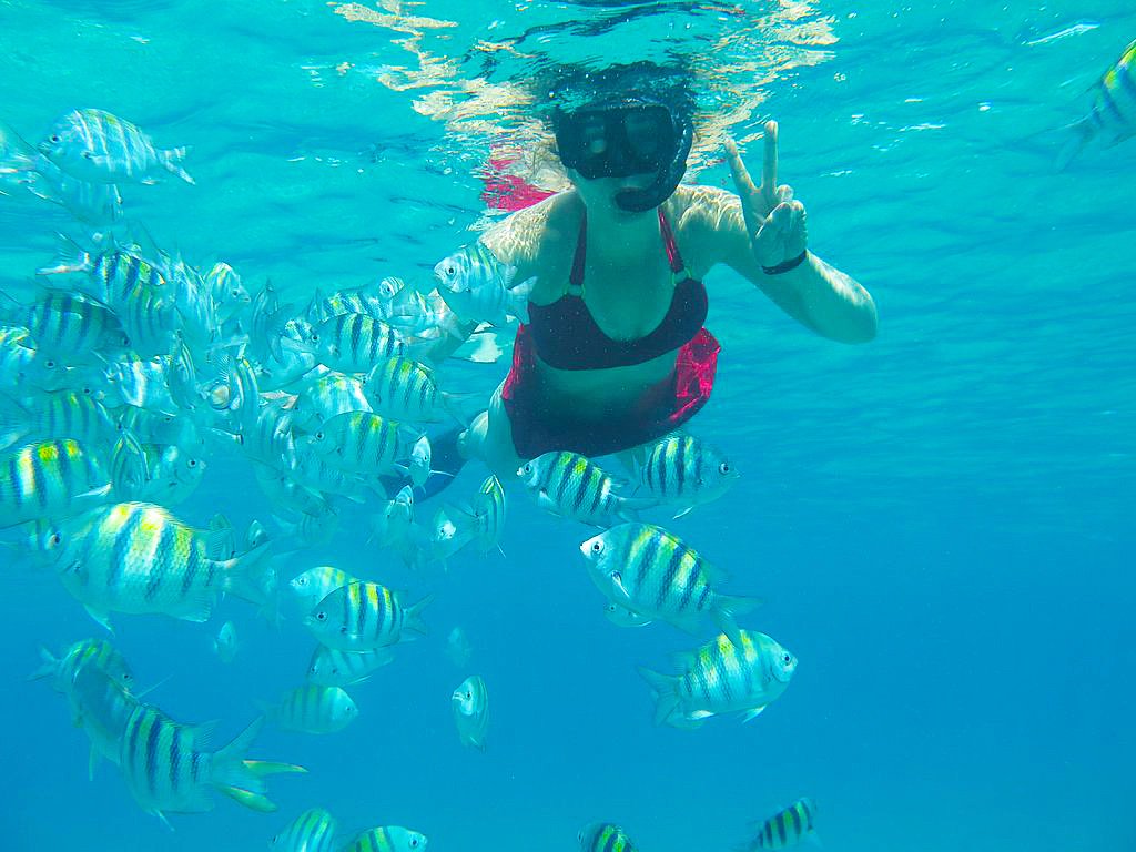 DRgotsoul's tweet photo. Discover Puerto Plata
SeaPro Divers
https://t.co/hZQFDMjtlh

#SeaProDivers  #Snorkeling 🌊🐟🇩🇴
#Scubadiving  #AquaAdventures   
#ThingsToDoInPuertoPlata  #DominicanSoul https://t.co/Qp0slqnUNc