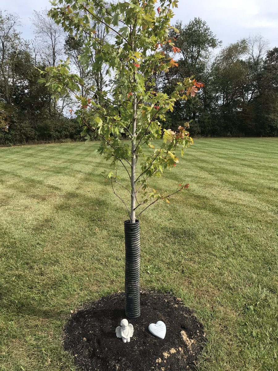 Devin Fulk tweet media