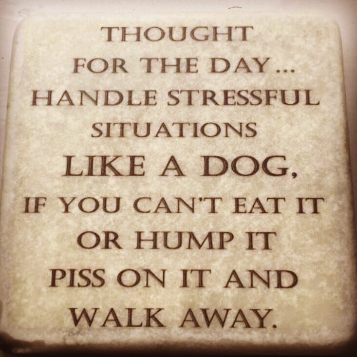 Don’t sweat the small stuff!