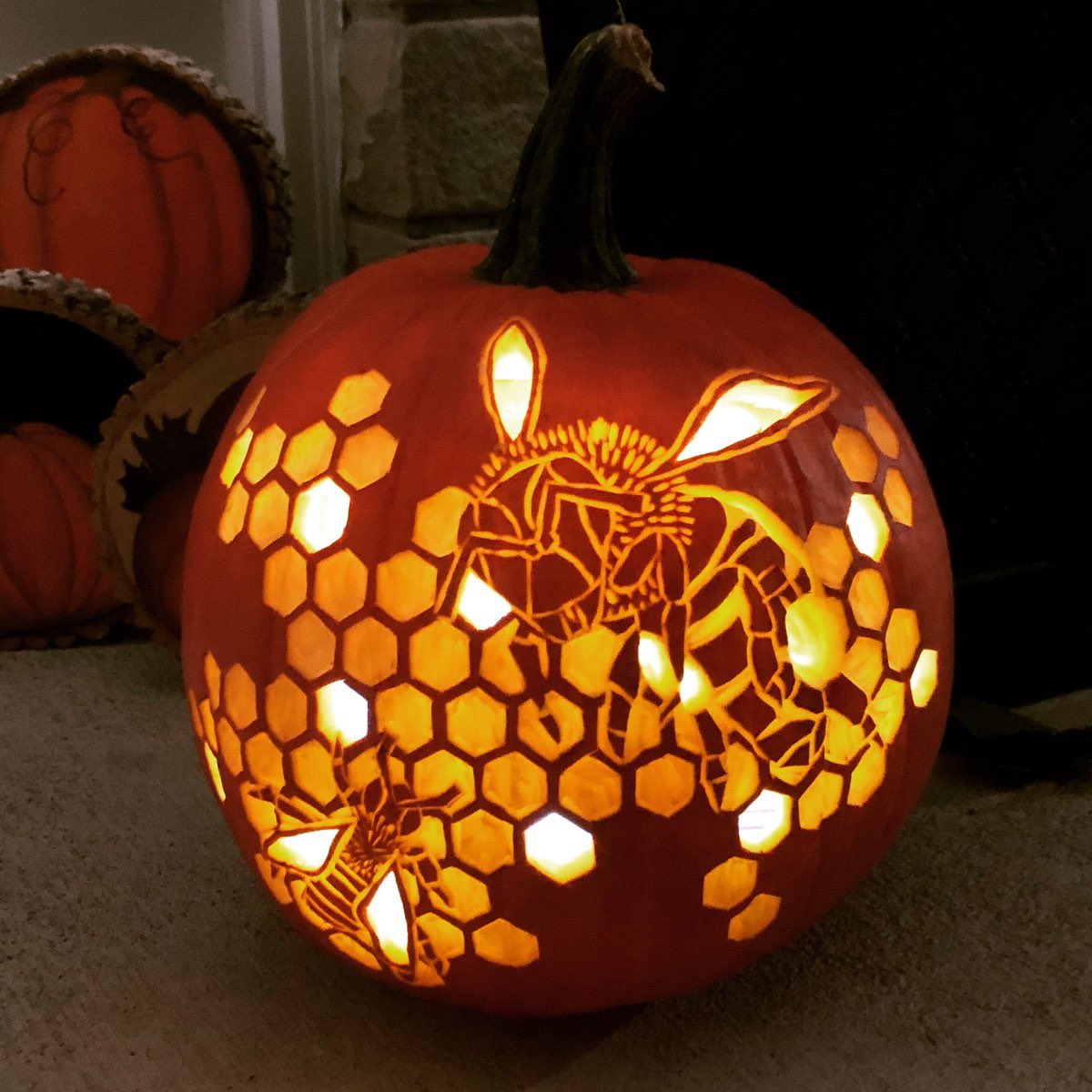 knowyourbees's tweet photo. Happy fall, yโall! ๐๐๐
Credit @castelmi
#October #Fall #savethbees #honeybees #beekeeping #bees #pumpkin #nature #beekeeper #honeybee #bee https://t.co/AcRo8zXgXQ