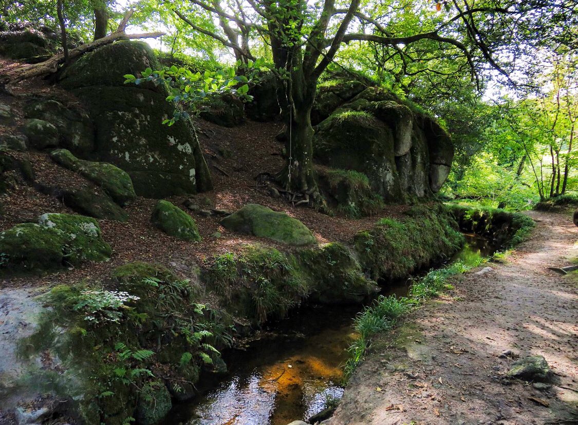 SMartdale's tweet photo. Beautiful Sunny Cornwall Today #Cornwall #NaturePhotography #Treffry @piratefm @BBCCornwall @ThePhotoHour @metoffice @KermodeMovie @Britnatureguide @BBCCountryfile @ILoveCornwallUK @CornwallHour @love_cornwall_ @IMcMillan @WhatsOnCornwall #PhotoHour https://t.co/ACDThPaaep